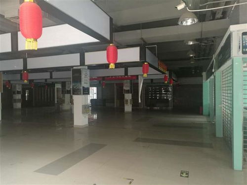 河源市廠房安全檢測鑒定機構 創(chuàng)新技術指導助力企業(yè)安全生產(chǎn)，筑牢工業(yè)發(fā)展基石